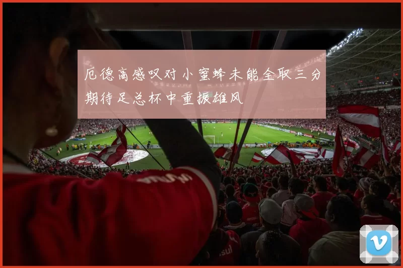 厄德高感叹对小蜜蜂未能全取三分期待足总杯中重振雄风