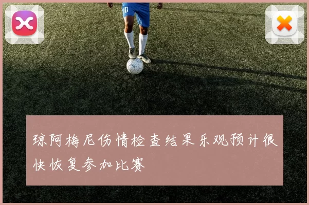 琼阿梅尼伤情检查结果乐观预计很快恢复参加比赛
